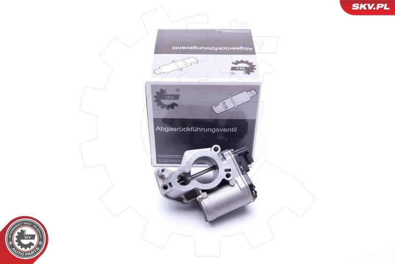 EGR Valve